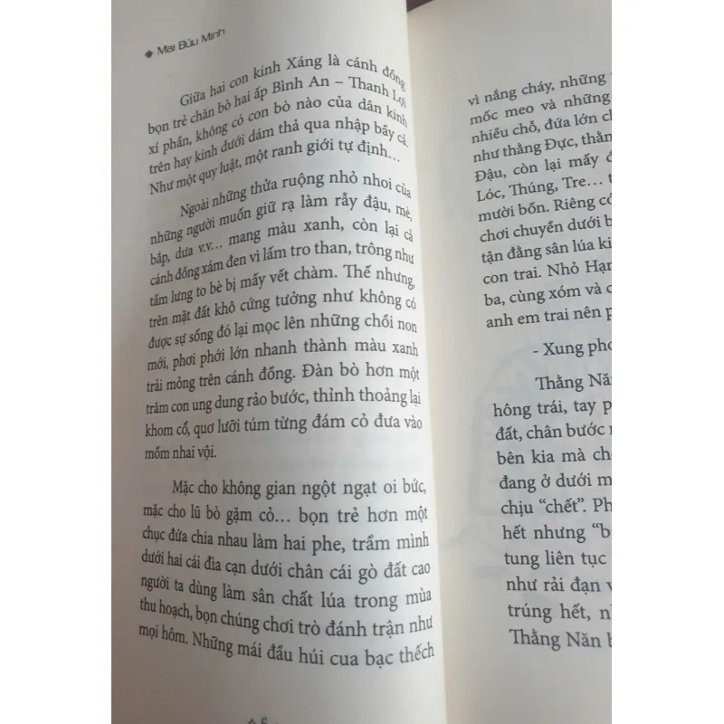 Đốm Lửa Trên Đồng 747388