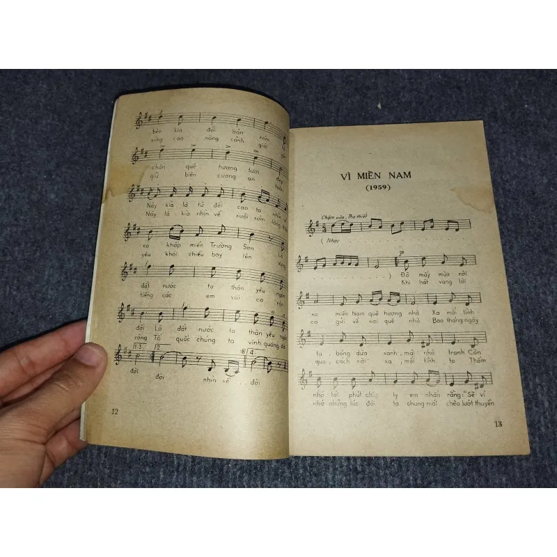 TIẾNG ĐÀN TA LƯ - TẬP BÀI HÁT CỦA HUY THỤC 991109