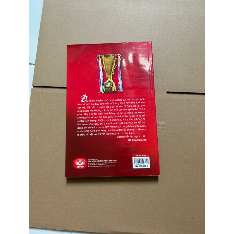 VIỆT NAM VÔ ĐỊCH 748082