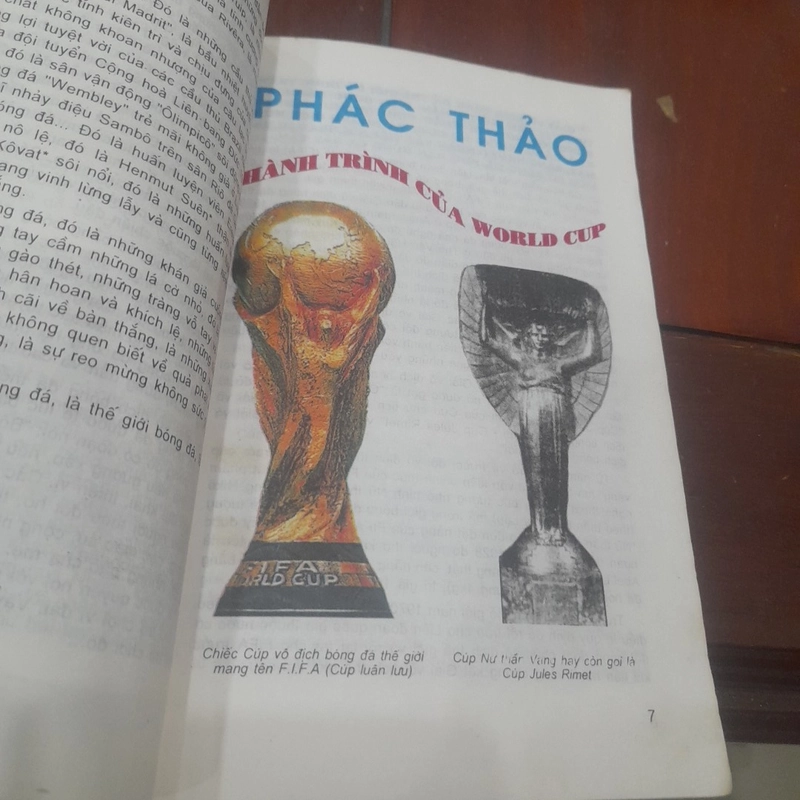 LỊCH SỬ WORLD CUP, những điều kỳ thú 501193