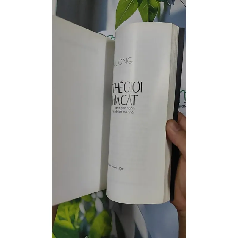 Một Thế Giới Bị Chia Cắt - Sâm Thương 798433