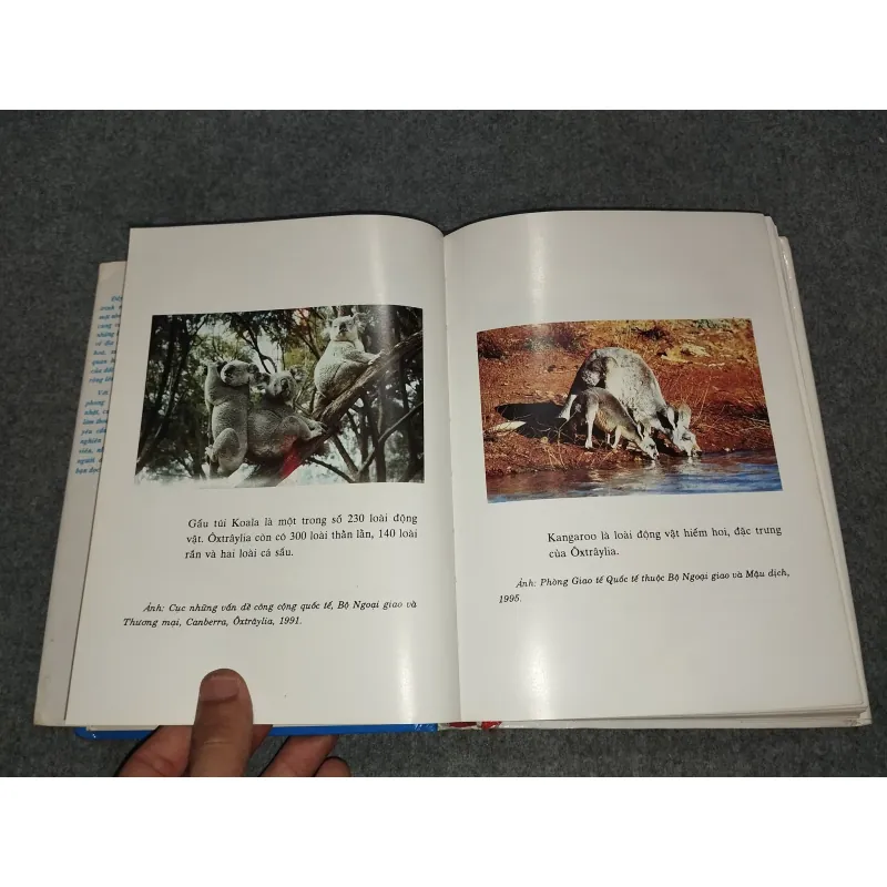 ÔXTRÂYLIA NGÀY NAY 701081