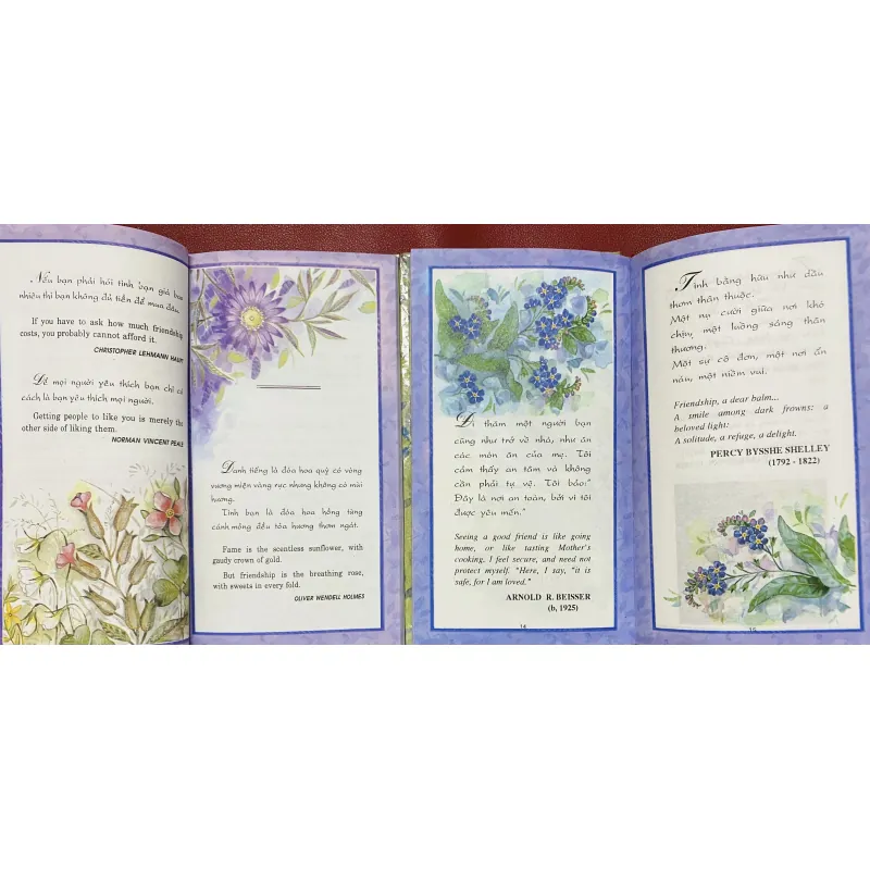 Friendship - Tình Bạn 1027458