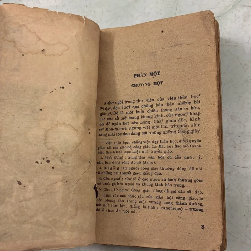 Ruồi trâu - 1984s 1022065