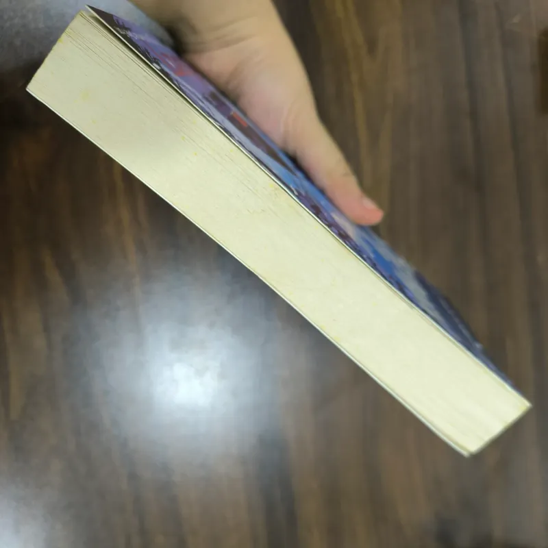 Misery - Stephen King - NEW  1000038