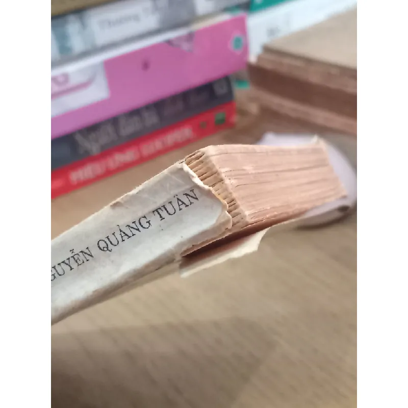 Những ngôi chùa danh tiếng -  Nguyễn Quảng Tuân biên soạn 712089