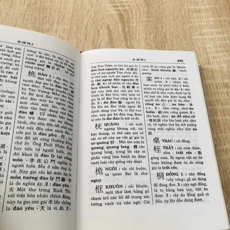 HÁN VIỆT TỰ ĐIỂN ( Thiều Chửu) 1000548