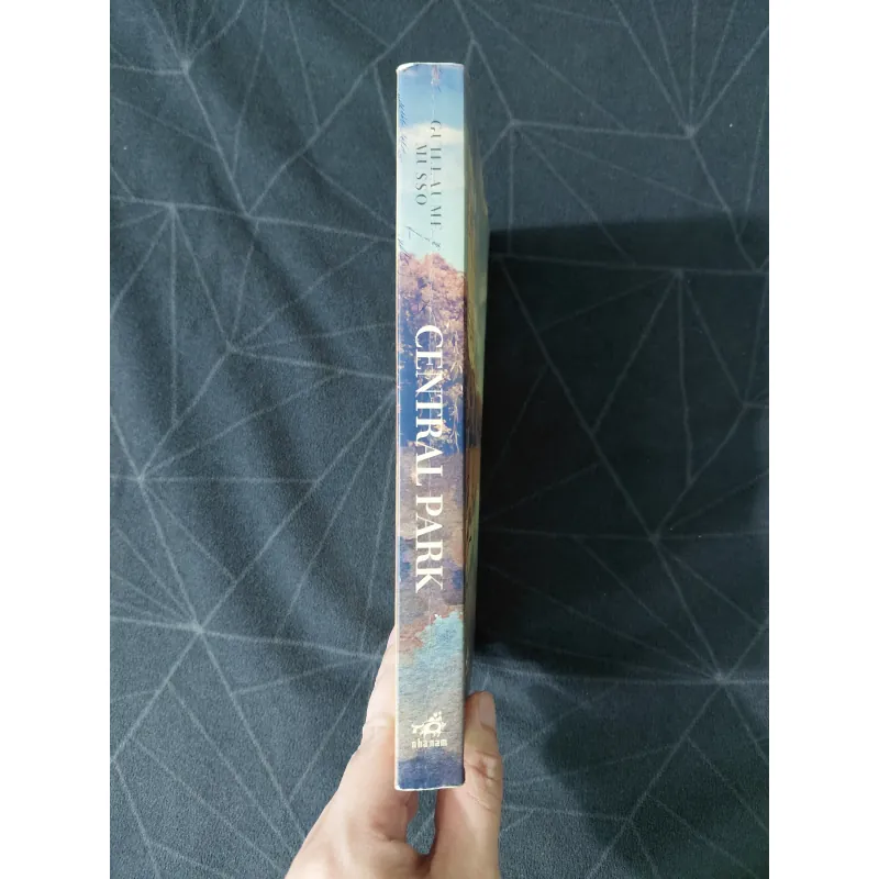 "Central Park" - Guillaumo Musso 976868