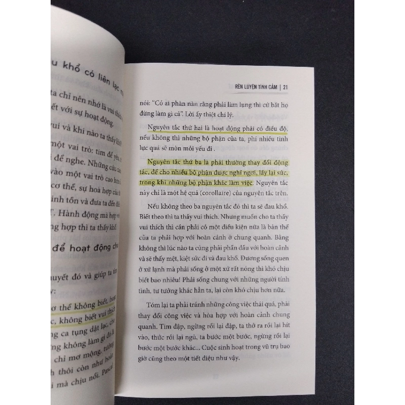 Rèn luyện tình cảm mới 80% highlight nhẹ 2018 HCM1008 P. F. Thomas KỸ NĂNG 916536