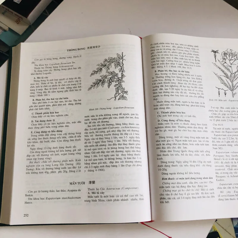 NHỮNG CÂY THUỐC VÀ VỊ THUỐC VIỆT NAM  455636