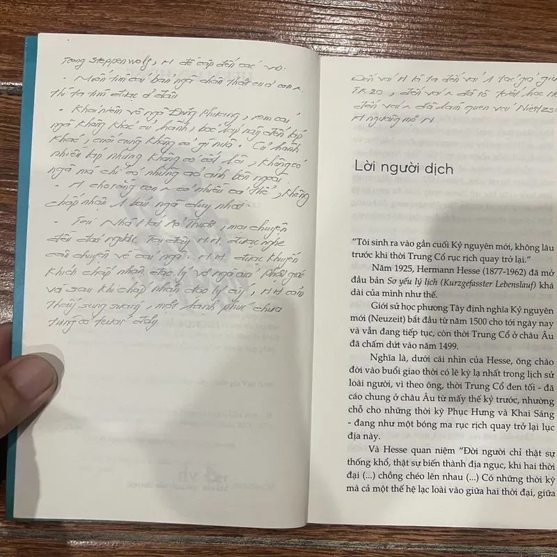 SÓI THẢO NGUYÊN - HERMANN HESSE (8) 593310