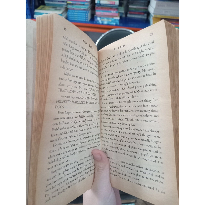 Wild fire - Nelson Demille 505870