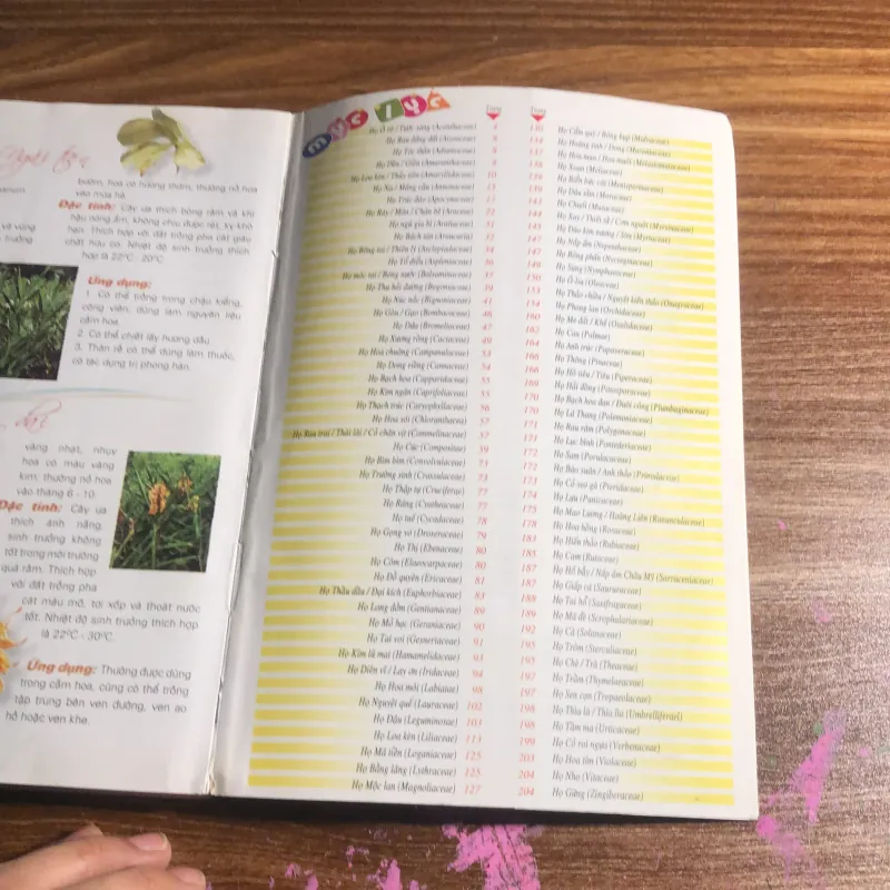 365 loài hoa cảnh 989813