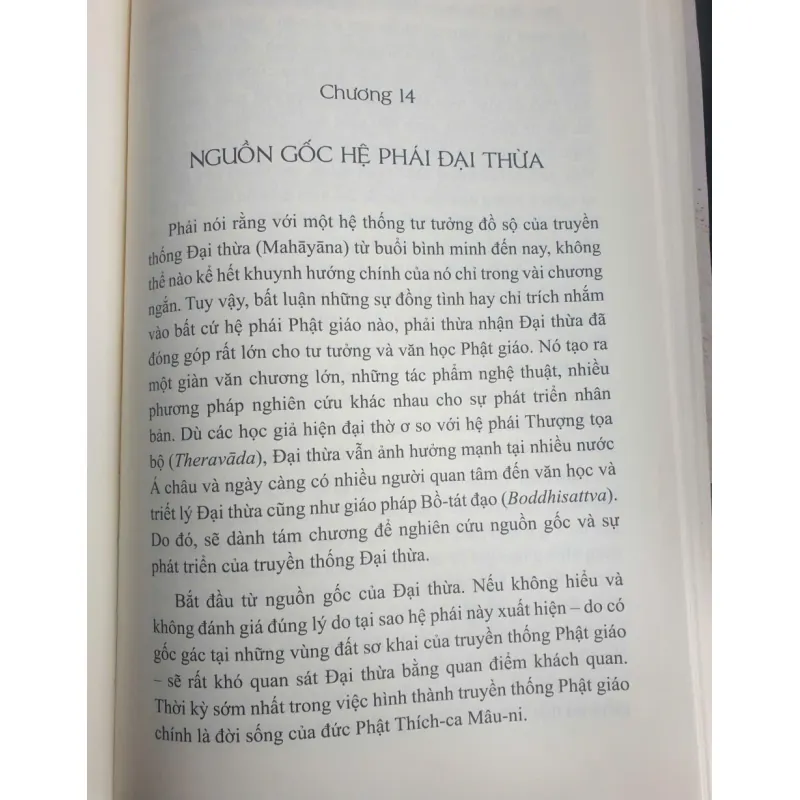 Cội Bồ Đề - Dr. Peter Della Santina 1028244