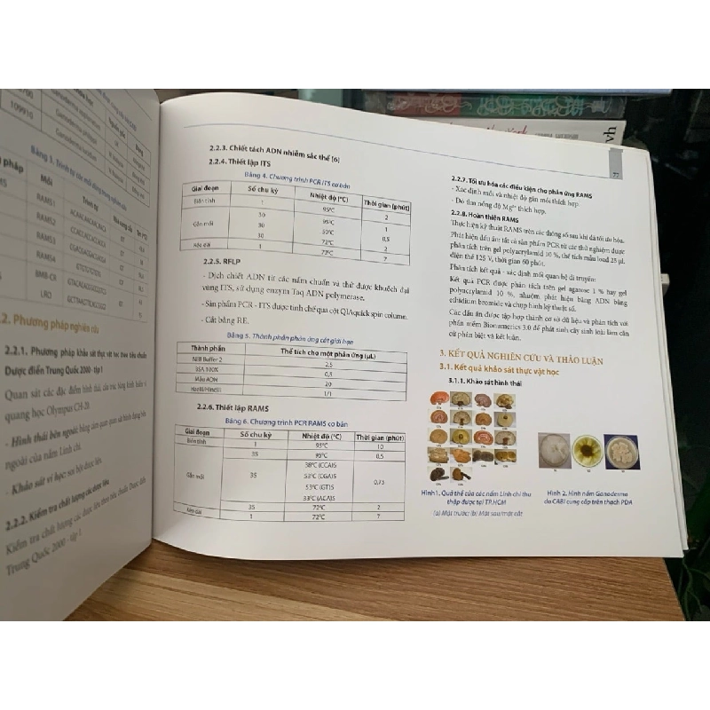 Kỷ niệm 40 năm tình yêu kiểm nghiệm (1977-2017) 727998