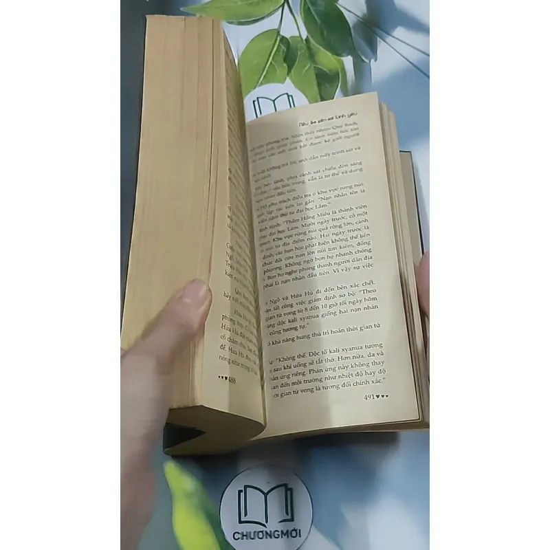 Nếu ốc sên có tình yêu - Đinh Mặc 688711