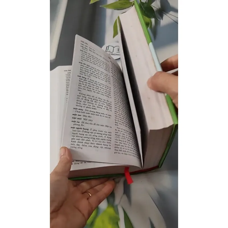 [MIỄN PHÍ BỌC SÁCH] Từ Điển Tiếng Việt Phổ Thông - Trương Văn Hùng 727267