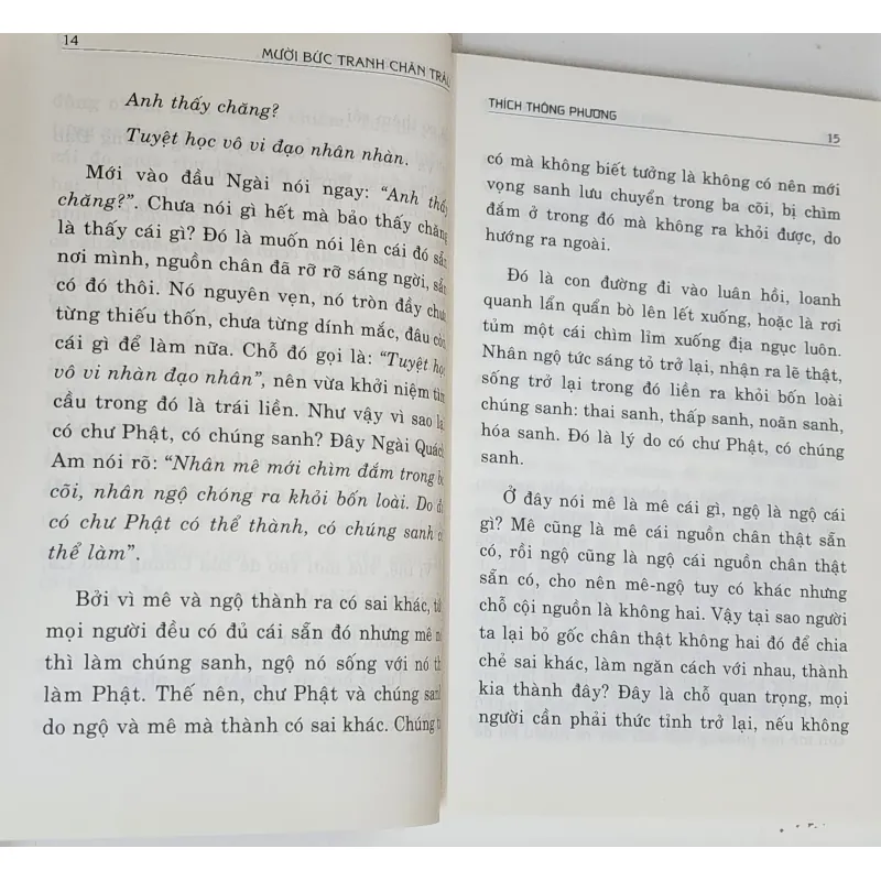 MƯỜI BỨC TRANH CHĂN TRÂU (Thiền viện Trúc Lâm, dịch giảng: Thích Thông Phương) 790998