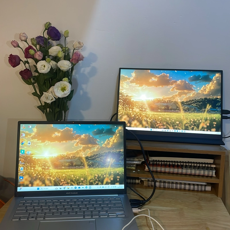 Màn hình phụ 16 inch - đang sử dụng tốt 502061