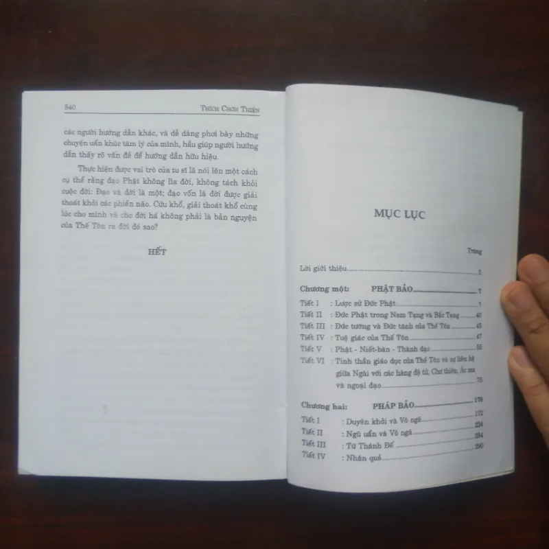 [Sách Phật Giáo] Phật Học Khái Luận (Thích Chơn Thiện) Phật Học Khái Luận - Remake 974963