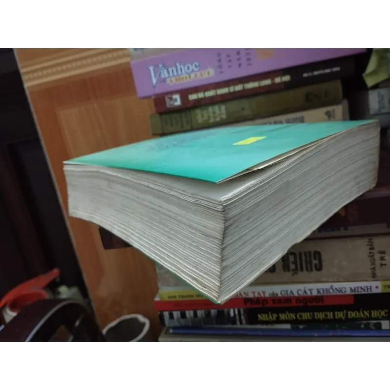 NHỮNG VẤN ĐỀ LÝ LUẬN VÀ LỊCH SỬ VĂN HỌC 1003366