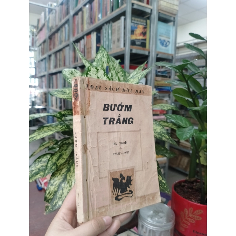 BƯỚM TRẮNG - NHẤT LINH
 520993