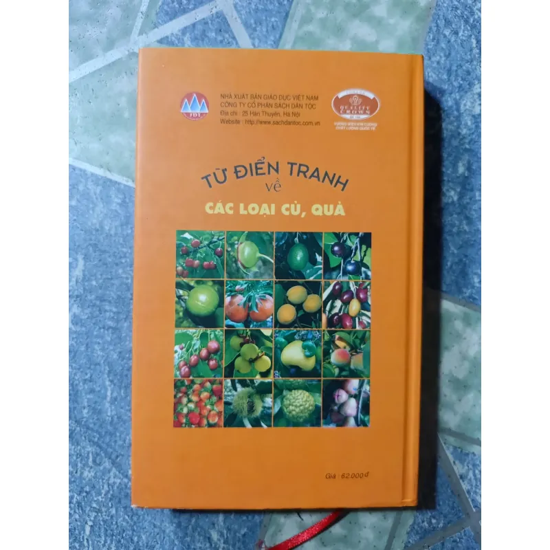 Từ điển tranh về các loại củ, quả 1001158