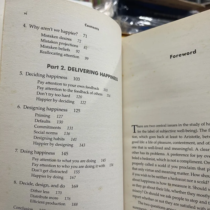 HAPPINESS BY DESIGN (HẠNH PHÚC ĐƯỢC THIẾT KẾ) - PAUL DOLAN 957295