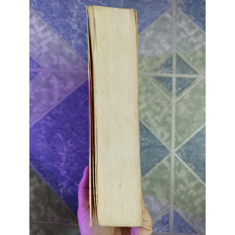 Quỳ trước hoa mai - - Tu Ngọc Tường & Vương Kế Xương 598259