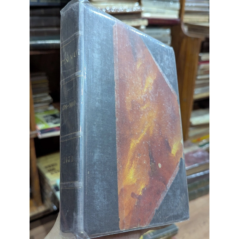 Tạp chí Nguyệt san Tin vui 1018629