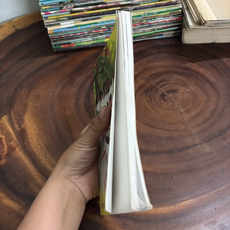 II Văn Học: Tựu Trường - Xuân Diện - 2010 998100