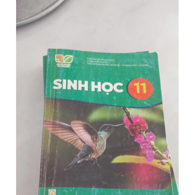 SGK SINH HỌC KẾT NỐI TRI THỨC LỚP 11 501722