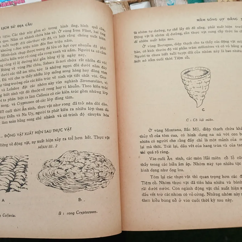LỊCH SỬ ĐỊA CẦU - Trần Kim Thạch 697832