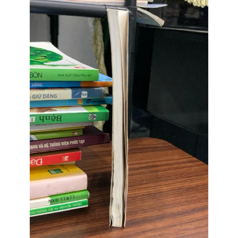 Hoa hồng gai – Quyên Quyên 563694