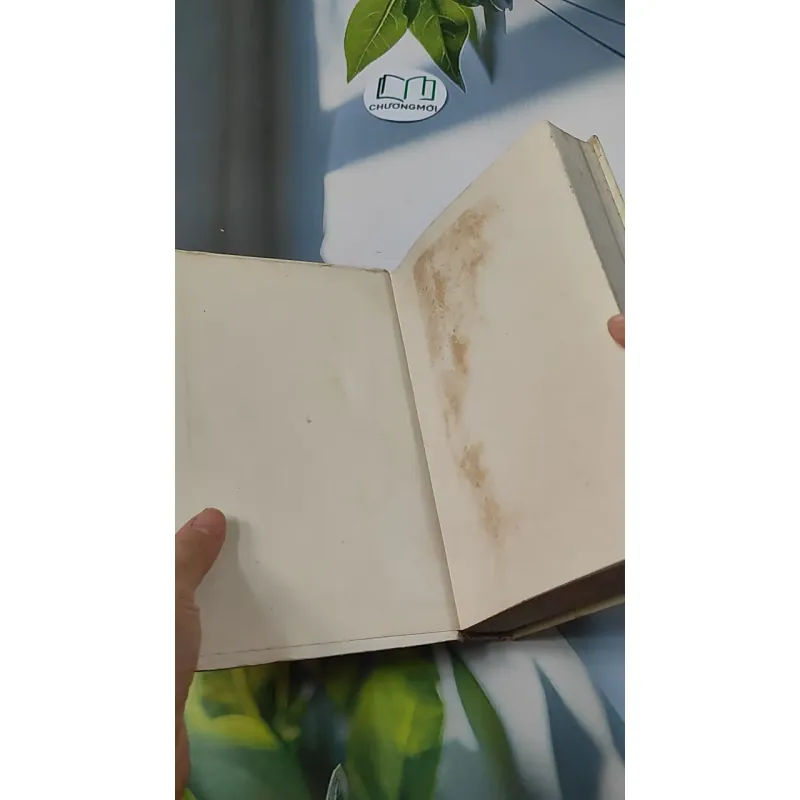 Câu Chuyện Về Anh Là Thế - V. Li-pa-tôp 749587