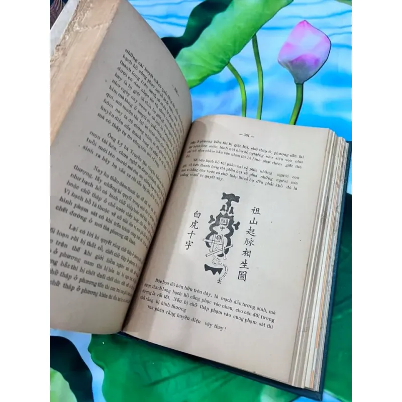 HỒNG VŨ CẤM THƯ - DƯƠNG QUÂN TÙNG, VŨ VĂN MINH (1962-1968) 355537