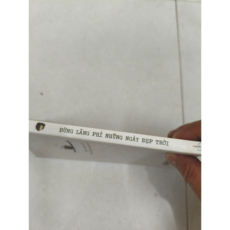 Đừng lãng phí những ngày đẹp trời  420977