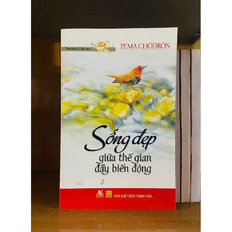 [Sách Cũ SCGR] Sống đẹp giữa thế gian đầu biến động - Pema Chodron KHOA HỌC ĐỜI SỐNG VAVO0810 678276