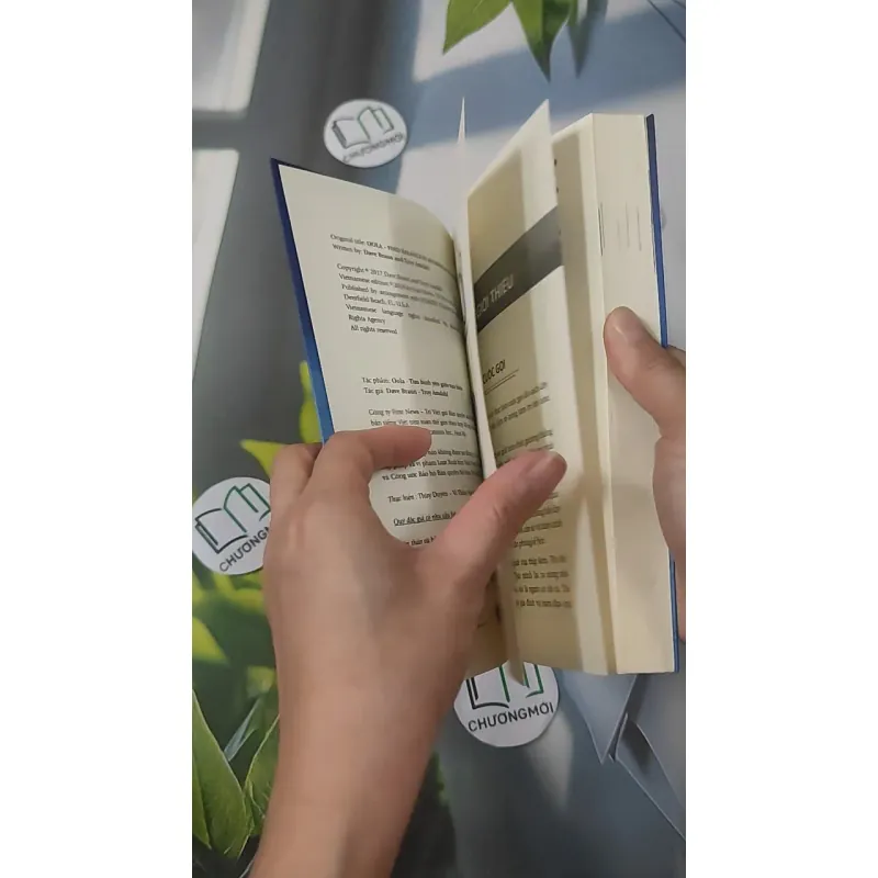 Tìm Bình Yên Giữa Vạn Biến - Dave Braun & Troy Amdahl 961253