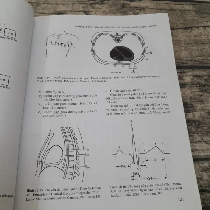 SINH LÝ HỌC Y KHOA- Tập 1-Giáo sư PHẠM ĐÌNH HỰU -ĐH Y Dược HCM  778118