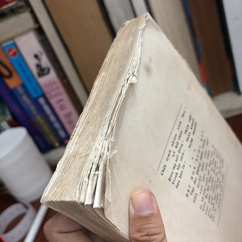 II Thơ Kháng Chiến Chống Pháp: Đẹp Hơn Nước Mắt _ Plus Belle Que Les Larmes - 1983 591689