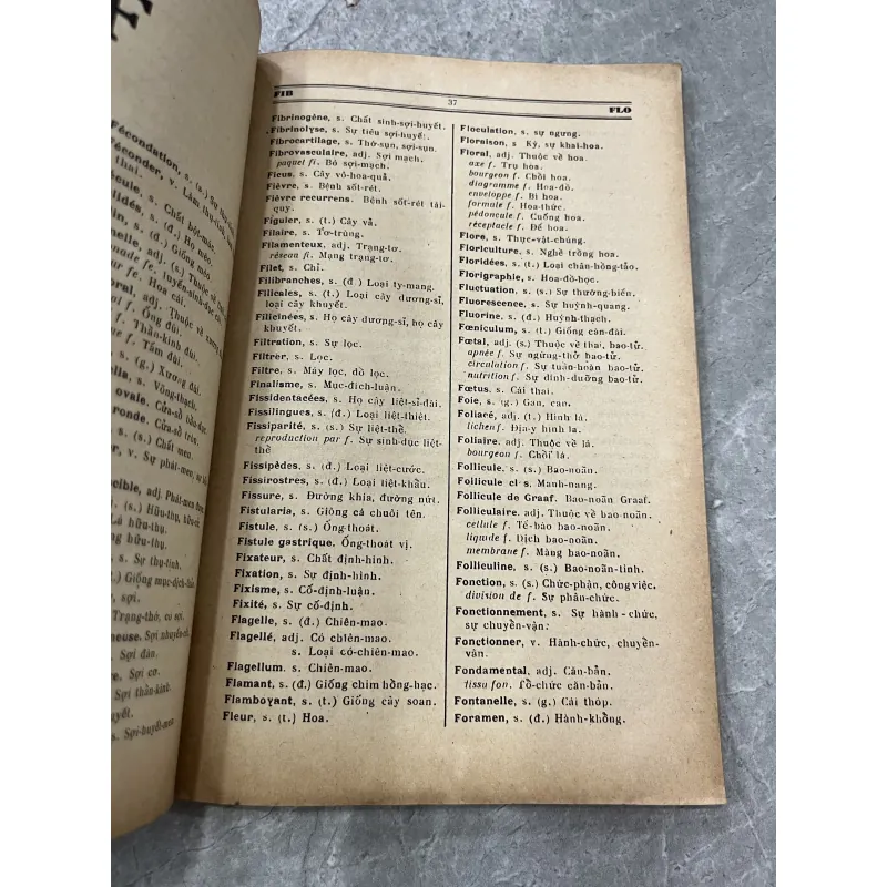 DANH TỪ KHOA HỌC - ĐÀO VĂN TIẾN 753659