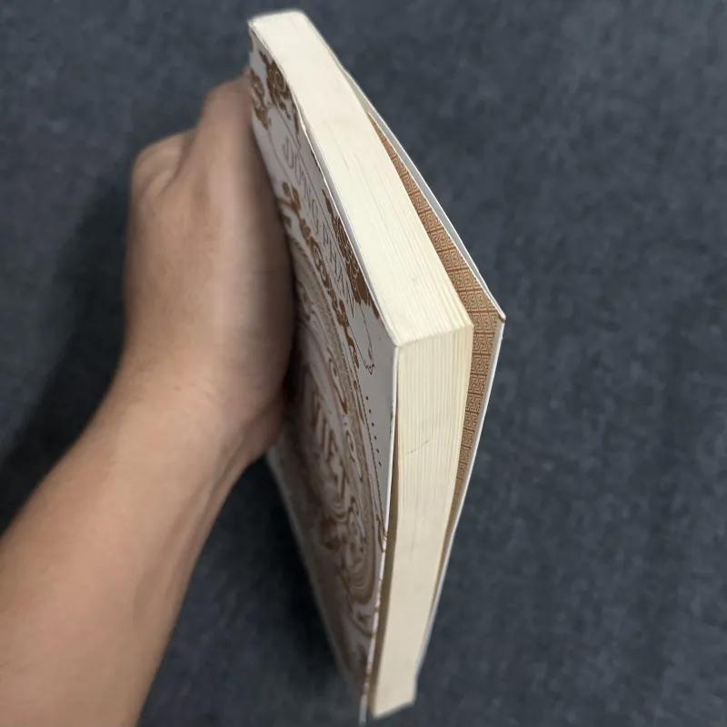 Sử Việt: 12 khúc tráng ca - Dũng Phan 1031660