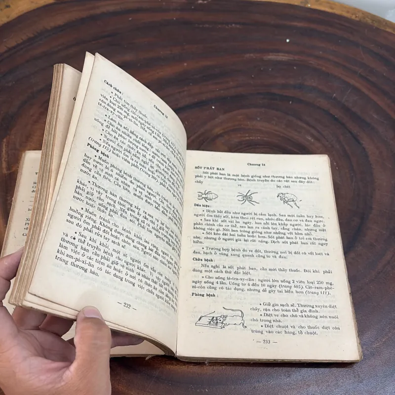 II Sức Khoẻ: Chăm Sóc Sức Khoẻ - DAVID WERNER - 1983 1010438