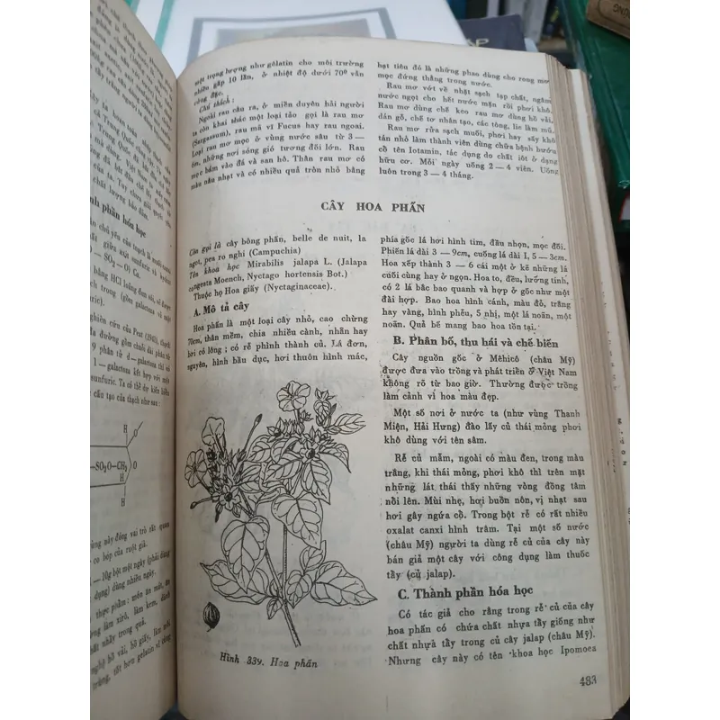 NHỮNG CÂY THUỐC VÀ VỊ THUỐC VIỆT NAM - ĐỖ TẤT LỢI 740042