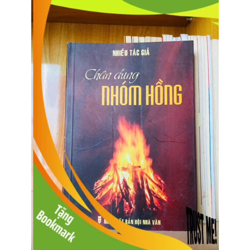 (TẶNG BOOKMARK) Chân dung nhóm hồng - VĂN HỌC - RBK2911-223 940921