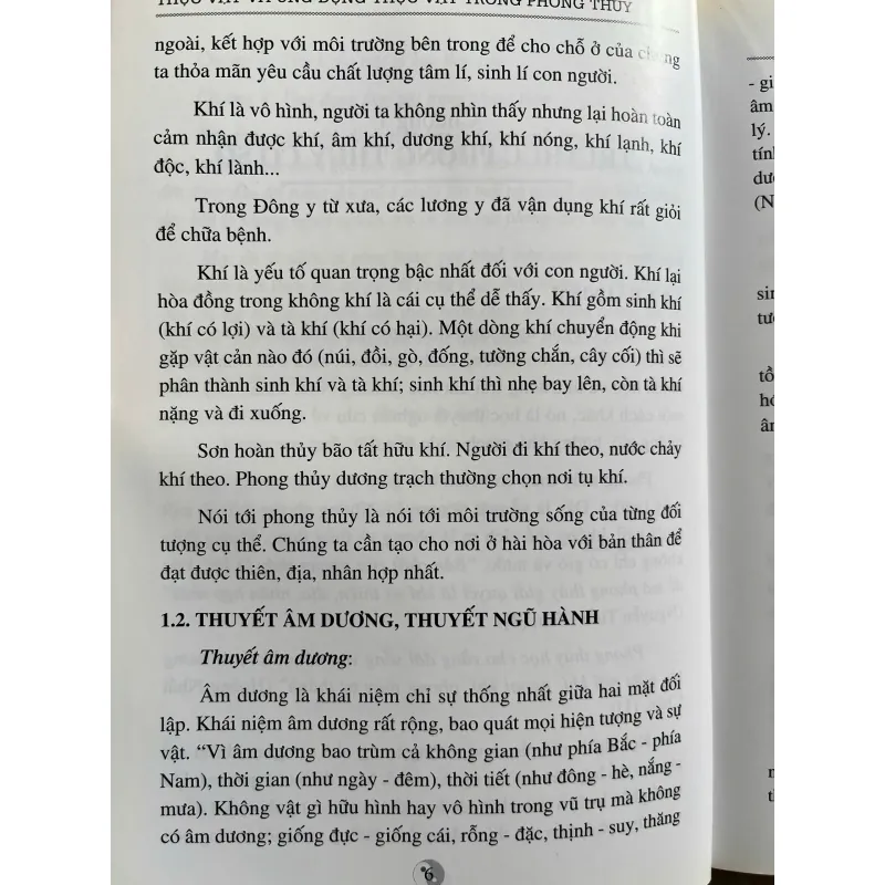 THỰC VẬT VÀ ỨNG DỤNG THỰC VẬT TRONG PHONG THỦY 759928