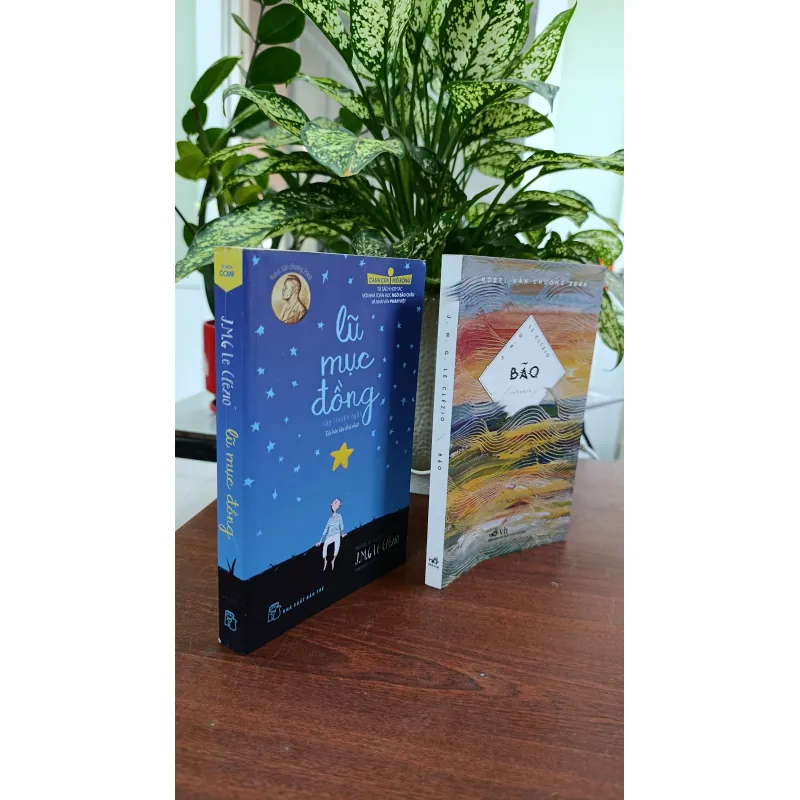 LŨ MỤC ĐỒNG - BÃO 694039