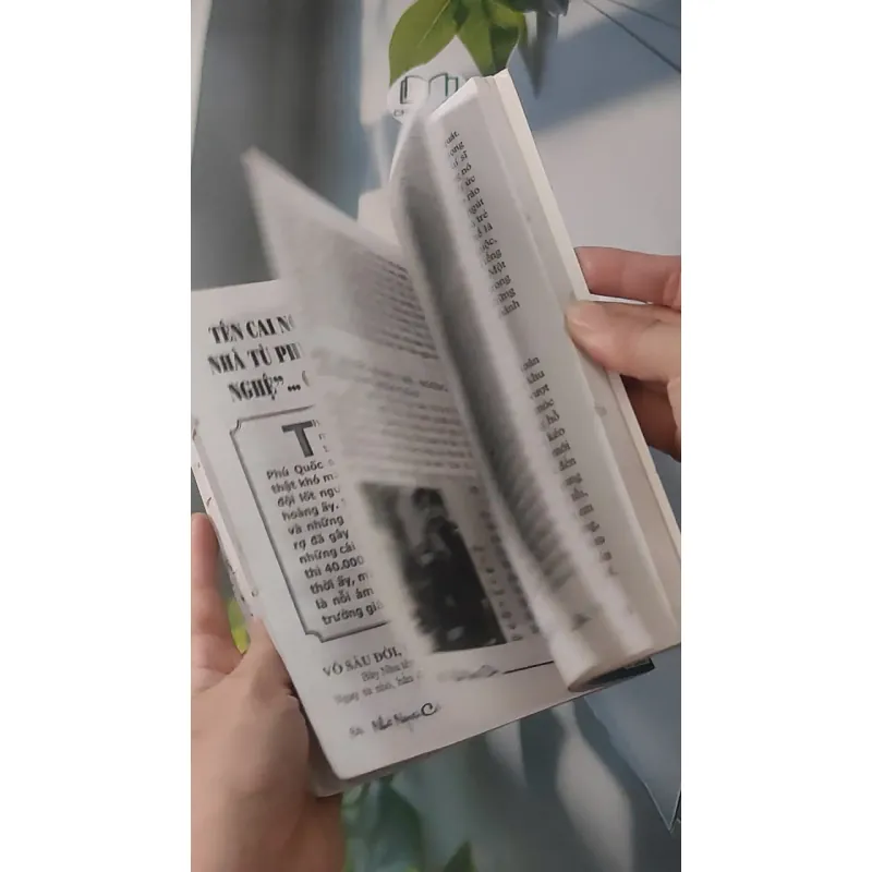 Tiếng Vọng Từ Những Linh Hồn - Hoàng Anh Sướng 928519