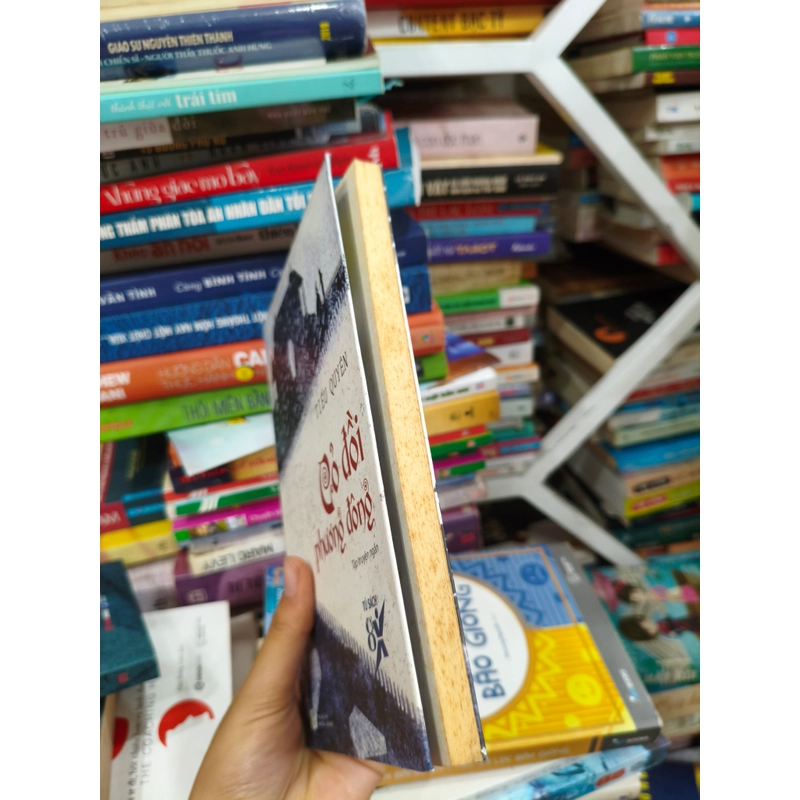 Cỏ đồi phương đông 🌱 469946